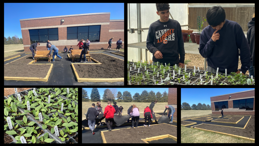 collage of students building butterfly garden