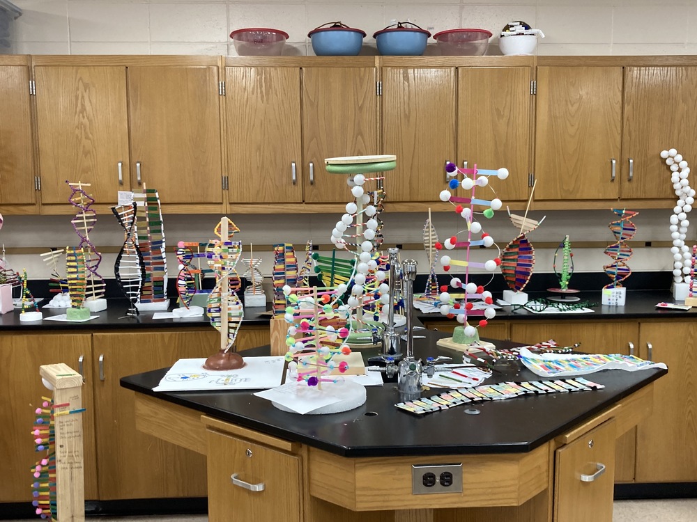 dna structure models made out of pipe cleaners